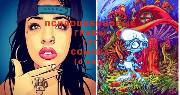 хмурый Пестово